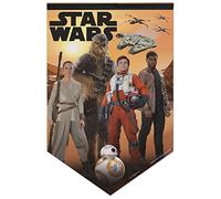WinCraft 64052126 Star Wars Premium Banner, 17" x 26"