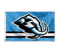 WinCraft Drapeau Utah Mammouth bleu 0,9 x 1,5 m