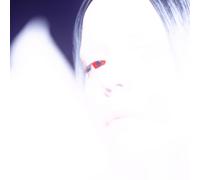 Wind Atlas Arche-fossil (Vinyl) 12" Album