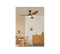 WIND BALANCE Ventilateur de plafond silencieux 40 W Ø 132 cm avec éclairage