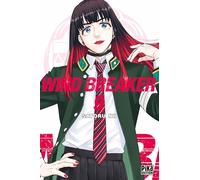 Wind Breaker T09