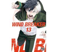 Wind Breaker T13