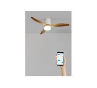 WIND CALM LINE M - Ventilateur de plafond 40W silencieux Ø132 cm 100% bois avec eclaraige avec wifi