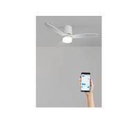 WIND CALM LINE M - Ventilateur de plafond 40W silencieux Ø132 cm 100% bois avec eclaraige avec wifi