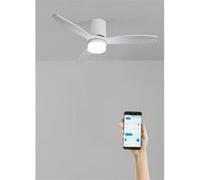 WIND CALM LINE M - Ventilateur de plafond 40W silencieux Ø132 cm 100% bois avec eclaraige avec wifi Blanc G