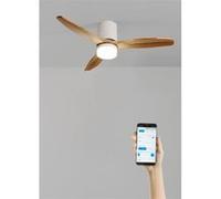 WIND CALM LINE M - Ventilateur de plafond 40W silencieux Ø132 cm 100% bois avec eclaraige avec wifi Blanc G