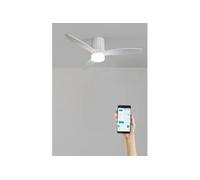 WIND CALM LINE - Ventilateur de plafond 40W silencieux Ø132 cm 100% bois -