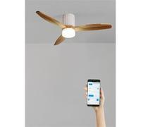 WIND CALM LINE - Ventilateur de plafond 40W silencieux Ø132 cm 100% bois - Blanc G