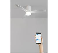 WIND CALM LINE - Ventilateur De Plafond 40W Silencieux Ø132 Cm 100% Bois WIFI + Télécommande