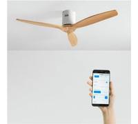 WIND CALM - Ventilateur De Plafond Silencieux 40W Avec Pales Techniques En ABS De Différentes Tailles Sans Lumière