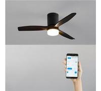 WIND CALM S - Ventilateur de plafond silencieux 40W avec pales techniques en ABS Ø112 avec eclaraige avec wifi Noir G