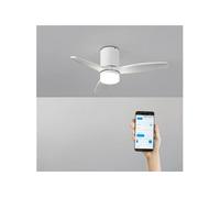 WIND CALM S - Ventilateur de plafond silencieux 40W avec pales techniques en ABS Ø112 avec eclaraige avec wifi