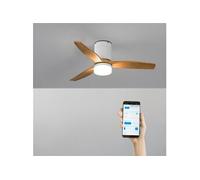 WIND CALM S - Ventilateur de plafond silencieux 40W avec pales techniques en ABS Ø112 avec eclaraige avec wifi