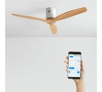 WIND CALM - Ventilateur De Plafond Silencieux 40W Avec Pales Techniques En ABS De Différentes Tailles Sans Lumière