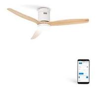 WIND CALM - Ventilateur de plafond silencieux 40W avec pales techniques en ABS de différentes tailles Bois naturel G