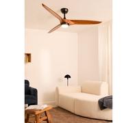 WIND CENTURY - Ventilateur De Plafond 40W Silencieux, 100% Bois, Plusieurs Tailles Télécommande