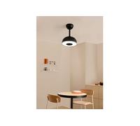WIND CLEAR CUP - Ventilateur De Plafond 40W Silencieux Ø55cm Pales Rétractables Avec Lumière LED Avec Lumière