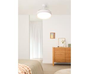 WIND CLEAR EDGE - Ventilateur De Plafond Silencieux 40 W Ø107 Cm Avec Pales Rétractables Et Lumière LED Télécommande