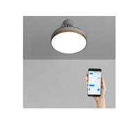 Ventilateur de Plafond - WIND CLEAR - Silencieux - Lames Rétractables - LED 36W - Ø108cm