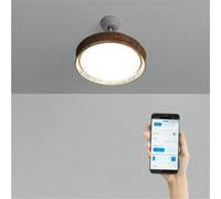 CREATE / WIND CLEAR RATTAN/Ventilateur de plafond avec lumière, télécommande et Wifi, blanc osier tressage / 40W, silencieux, Ø108, 6 vitesses, minuterie, pales retractables, fonction été-hiver