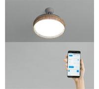 CREATE / WIND CLEAR RATTAN/Ventilateur de plafond avec lumière, télécommande et Wifi, blanc osier nœud / 40W, silencieux, Ø108, minuterie, pales retractables, moteur DC, fonction été-hiver