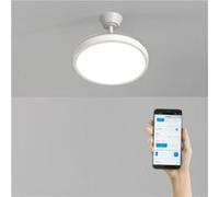 WIND CLEAR STUDIO M - Ventilateur de plafond 40W silencieux avec pales rétractables et eclaraige LED, Ø108 cm avec eclaraige avec wifi Transparent G