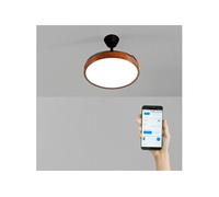 CREATE / WIND CLEAR STUDIO M/Ventilateur de plafond avec lumière noir et bois foncé avec Wifi et télécommande / 40W, Ø108 cm, pales rétractables, 3 températures de lumière, fonction été-hiver