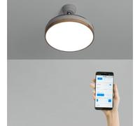 WIND CLEAR - Ventilateur De Plafond 40W Silencieux À Pales Rétractables Avec Éclairage LED Différentes Tailles Bois Clair