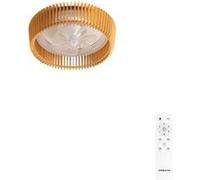 CREATE Ventilateur de plafond – Avec lumière, silencieux, pales orientables, LED 36W