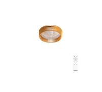 CREATE Ventilateur de plafond – Avec lumière, silencieux, pales orientables, LED 36W