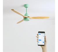 WIND CUP - Ventilateur De Plafond 40W Silencieux Ø132 Cm 100% Bois Sans Lumière