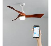 WIND CURVE - Ventilateur De Plafond 40W Silencieux Ø132 Cm 100% Bois Sans Lumière