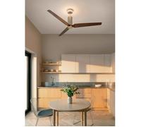 WIND FORMA Ventilateur de plafond silencieux 45 W, Ø 152 cm, avec éclairage d'ambiance