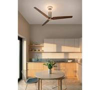 WIND FORMA - Ventilateur De Plafond Silencieux 45 W Ø152 Cm Avec Lumière D’ambiance Optionnelle Télécommande