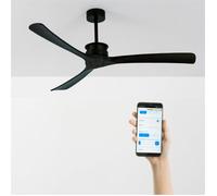 WIND LARGE - Ventilateur de