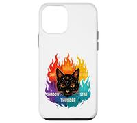 Wind Shadow River Star Thunder Sky Cat Feline Warriors Coque pour iPhone 12 Mini