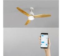 WIND STYLANCE - Ventilateur De Plafond 40W Silencieux 100% Bois Plusieurs Tailles WIFI + Télécommande