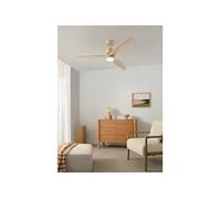 WIND STYLANCE - Ventilateur de plafond silencieux 40 W avec pales en ABS technique Ø 132 cm avec éclairage avec wifi