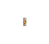 Wind Tre nubia Focus 2 5G 16,5 cm (6.5") Double SIM Android 15 8 Go 256 Go 5000 mAh Noir