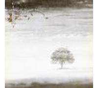 Wind & Wuthering