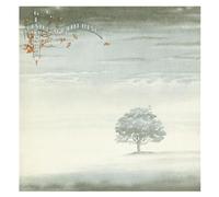 Genesis – Wind & Wuthering – CD