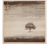 wind & wuthering LP