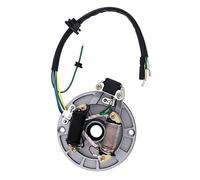 Windance Plaque de Stator Magnétique d'Allumage à 2 Bobines pour Moto Tout-Terrain Chinoise Taotao Kazuma SSR Baja ATV Quad 4 Roues 50 70 90 110 125 cc