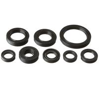 Winderosa 822228 Plat Huile Moteur Seal Kit