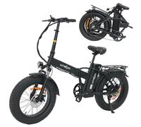 Windgoo F21 Pro Vélo Électrique Pliable - Moteur 250W Batterie 48V 12.5Ah 25KM/H 60KM- Noir