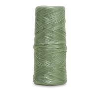 Windhager 06230 Fil de Raphia Artificiel pour Jardin Vert 100 m