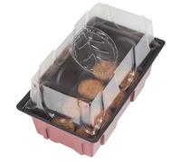 Windhager Mini-Serre D’Interieur avec 8 Pastilles de Germination sans Tourbe, 19x11x11 cm, 06842