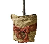 Windhager ÖKO 07522 Tapis de Protection Thermique en Toile de Jute pour Plantes Protection Contre Le Froid et Le Gel 300 g/m² 1 x 3 m Naturel