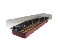 Windhager Serre pour Rebord de fenêtre avec 36 pastilles de Germination, 54.5x16.5x11 cm, 06841