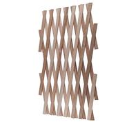 Windhager Treillis en Bois pour Plantes grimpantes Pliables et réglables 60 x 180 cm